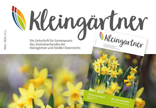 Kleingärtner März 2024: Zeitschrift für Gartenpraxis des Zentralverbandes der Kleingärtner und Siedler Österreichs